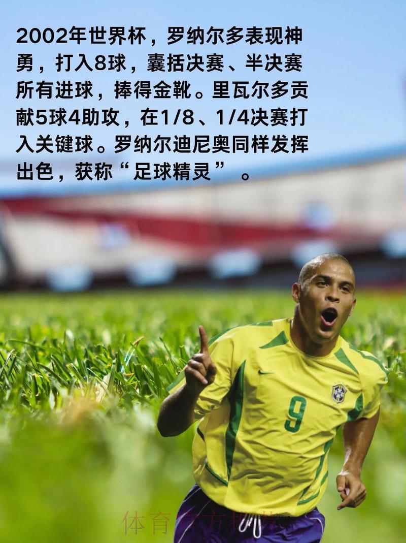 世界杯球队数据深度剖析与趋势洞察 世界杯球队数据深度剖析与趋势洞察